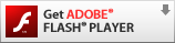 Flash Player Download